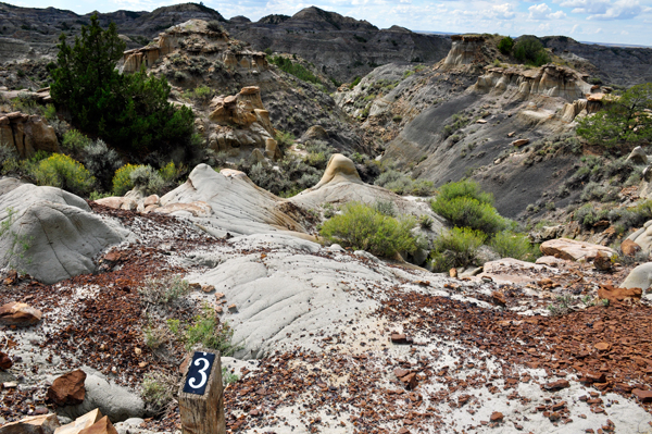 trail marker number 3